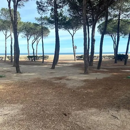 Apartment T3 A 20m De La *